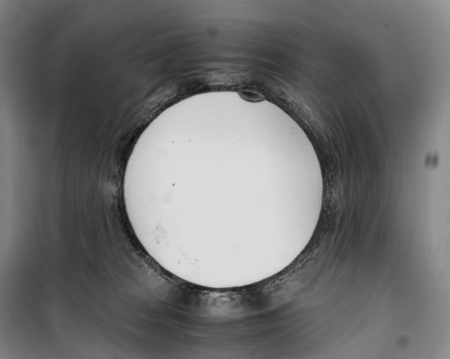 X0000099400277200806051214