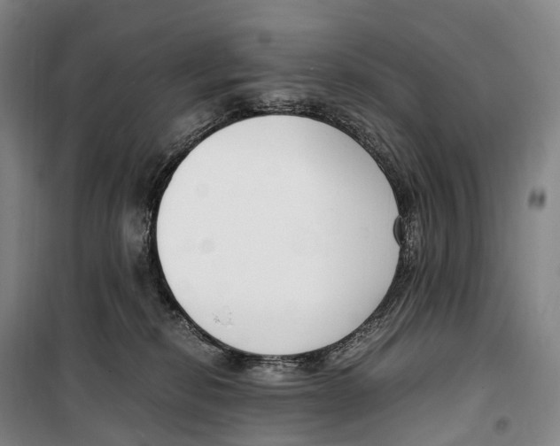 X0000099400278200806051214