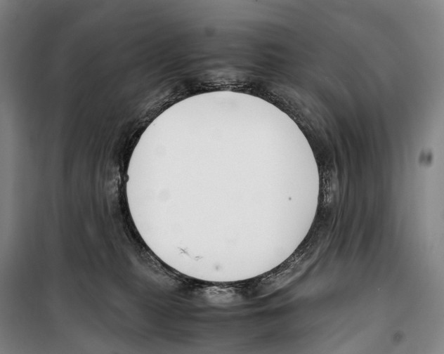 X0000099400279200806051214