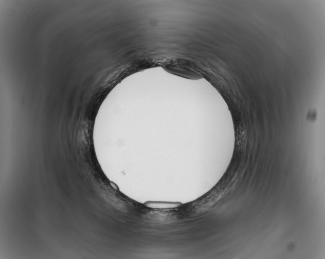 X0000099400280200806051214