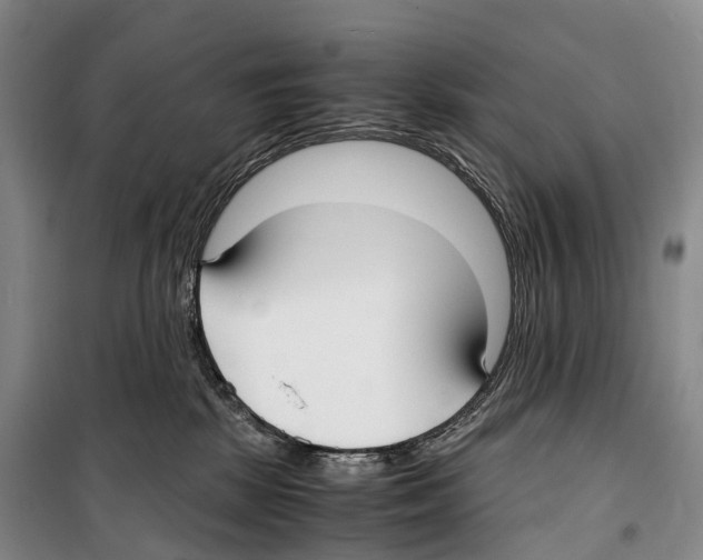 X0000099400281200806051214