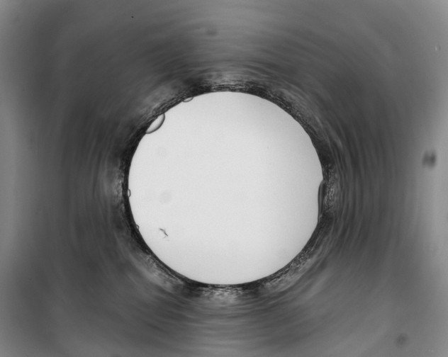 X0000099400282200806051214