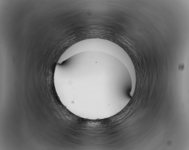 X0000099400283200806051214