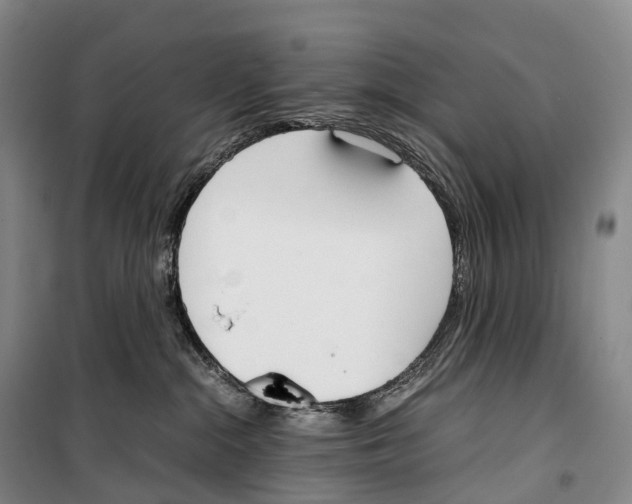X0000099400284200806051214