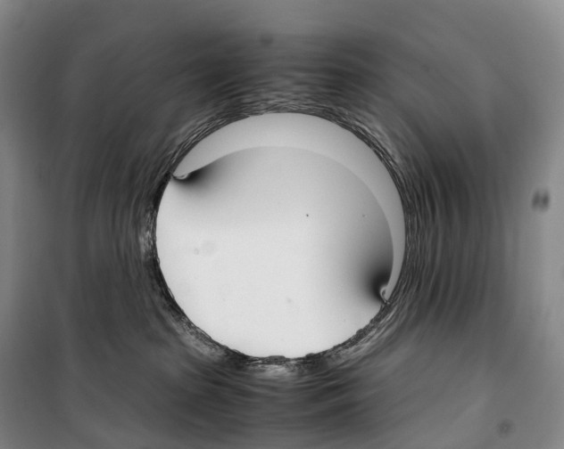 X0000099400285200806051215