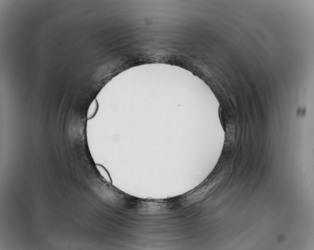 X0000099400286200806051215
