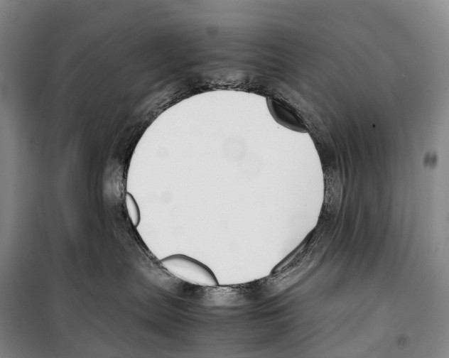 X0000099400287200806051215