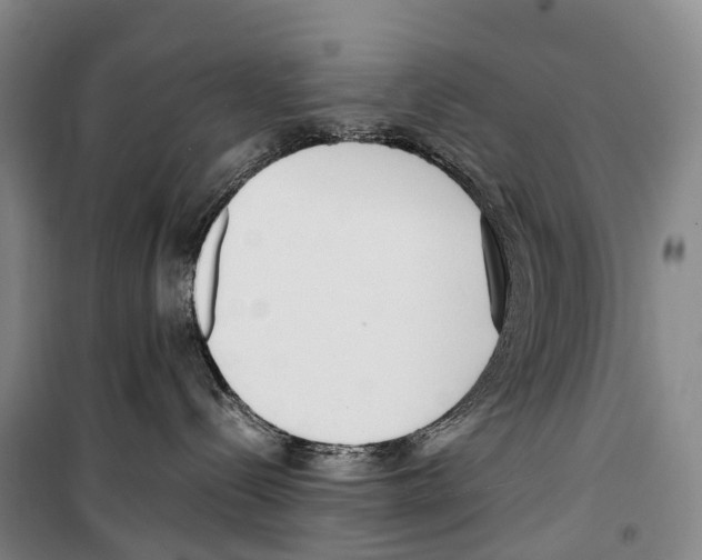 X0000099400288200806051215
