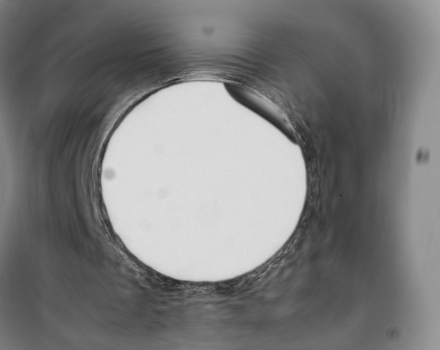 X0000099400289200806051214