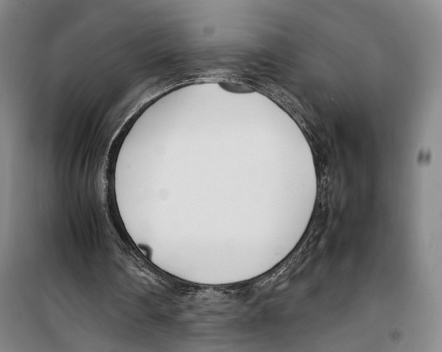 X0000099400290200806051214