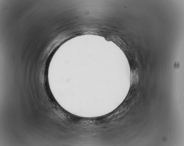 X0000099400291200806051214