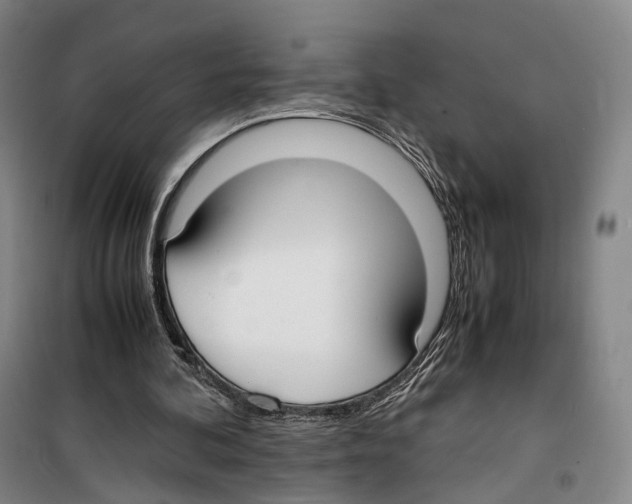 X0000099400292200806051214