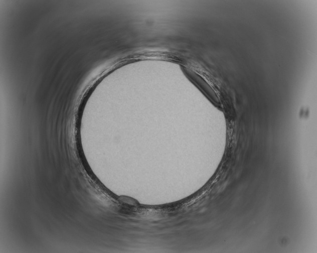 X0000099400293200806051214