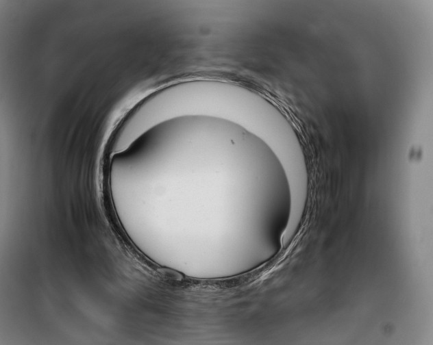 X0000099400294200806051214