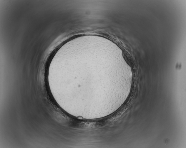 X0000099400295200806051214