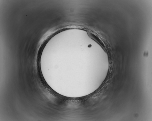 X0000099400296200806051214