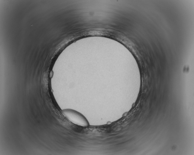 X0000099400297200806051214
