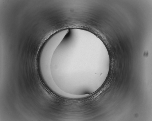 X0000099400298200806051214