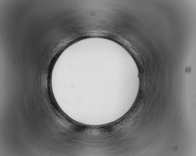 X0000099400299200806051214