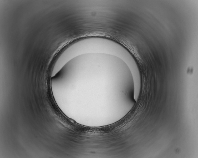X0000099400300200806051214