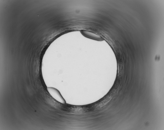 X0000099400301200806051214