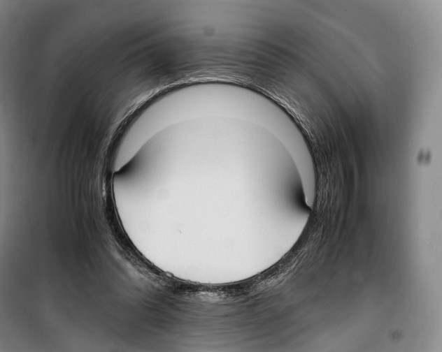X0000099400302200806051214