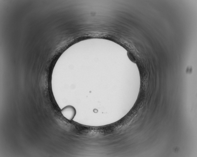 X0000099400303200806051214