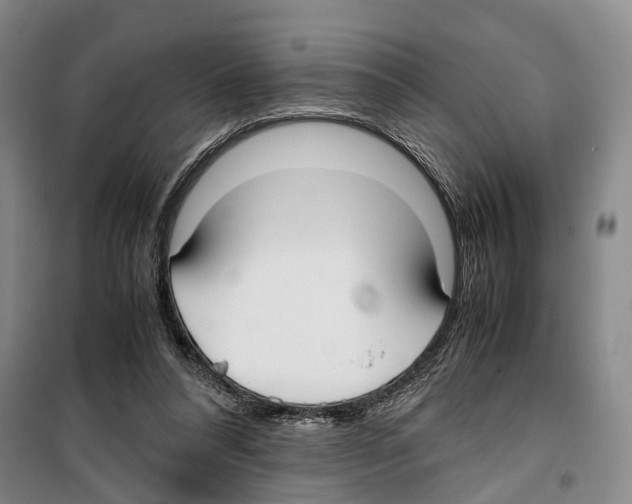 X0000099400304200806051214