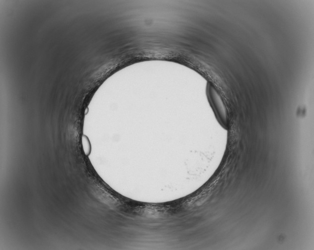 X0000099400305200806051214