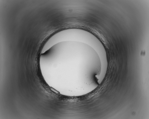 X0000099400306200806051214