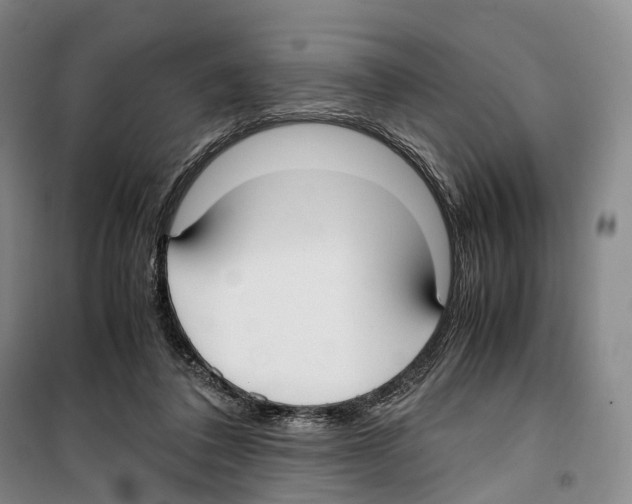 X0000099400308200806051214