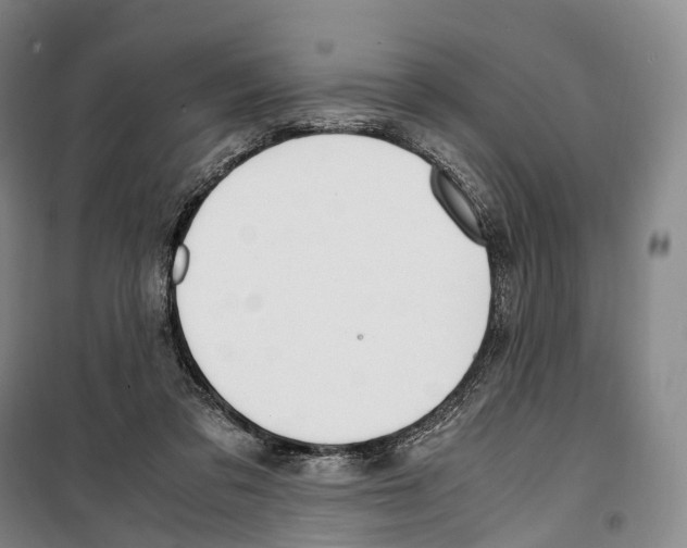 X0000099400309200806051214