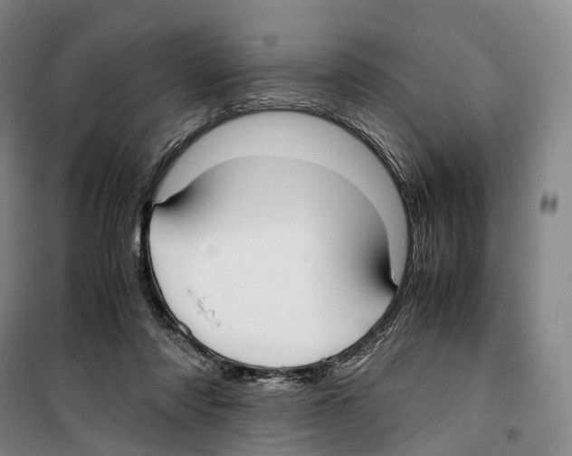 X0000099400310200806051214