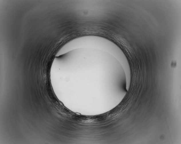 X0000099400312200806051214