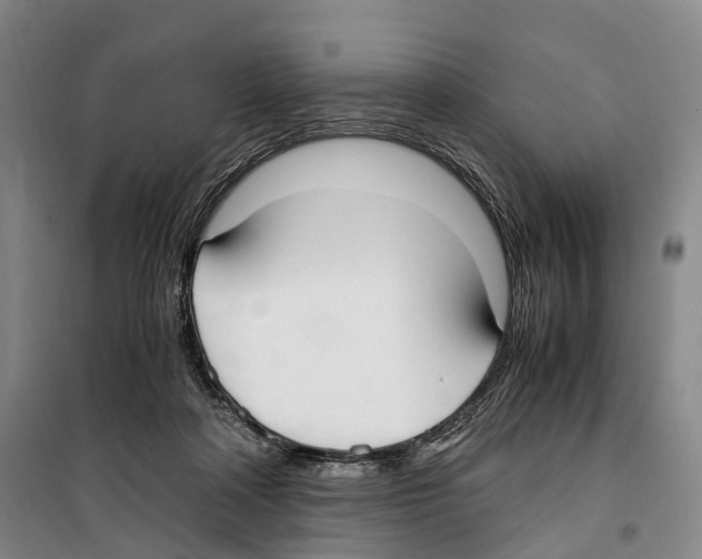 X0000099400314200806051213