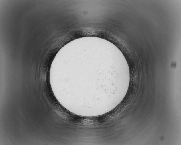 X0000099400315200806051213