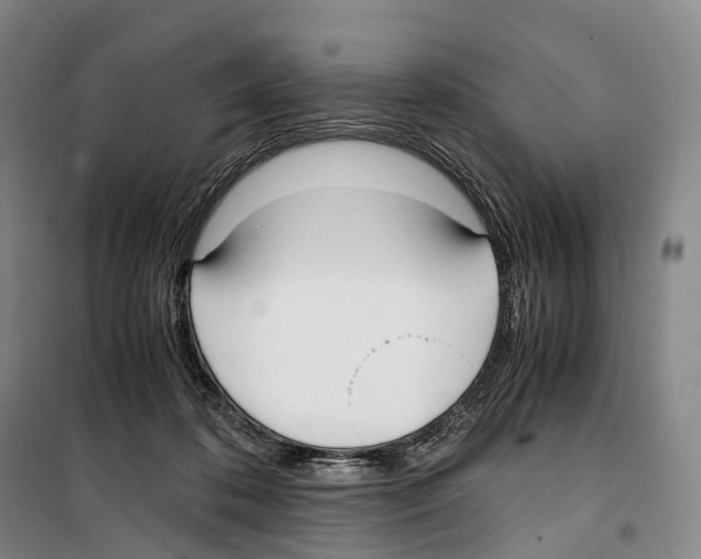 X0000099400316200806051213