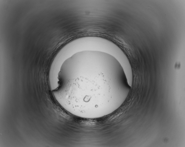 X0000099400318200806051213