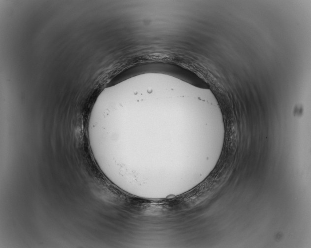 X0000099400320200806051213