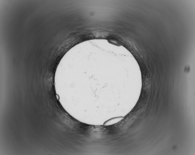 X0000099400321200806051213