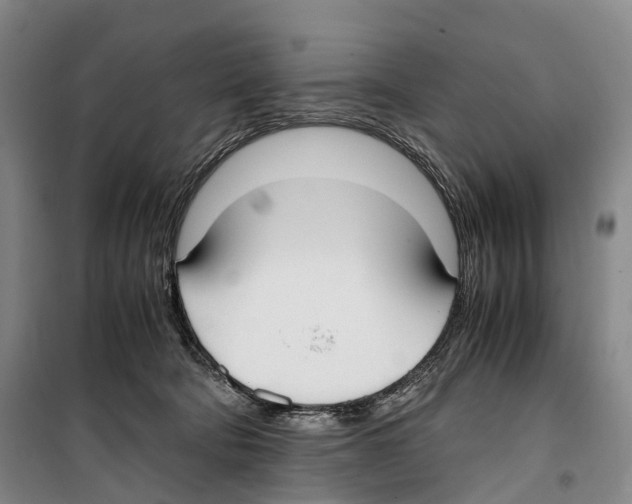 X0000099400322200806051213