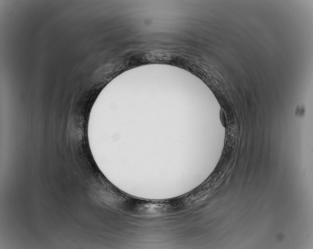 X0000099400323200806051213