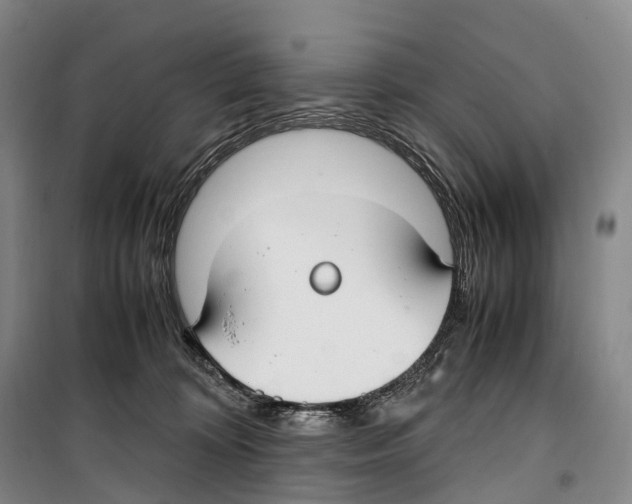 X0000099400324200806051213