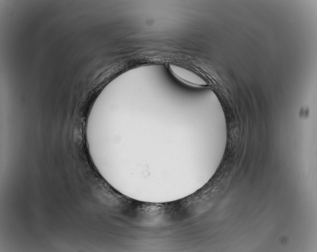 X0000099400325200806051213
