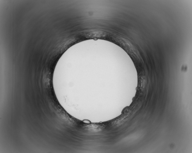 X0000099400326200806051213