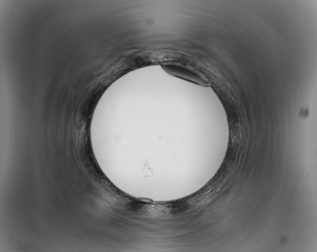 X0000099400327200806051213