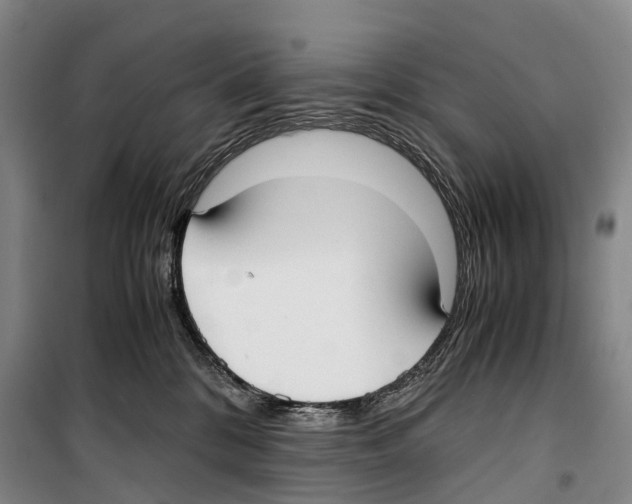 X0000099400328200806051213