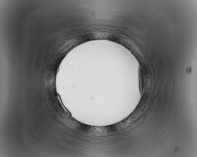 X0000099400329200806051213