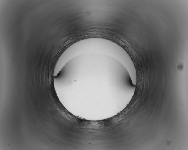 X0000099400330200806051213