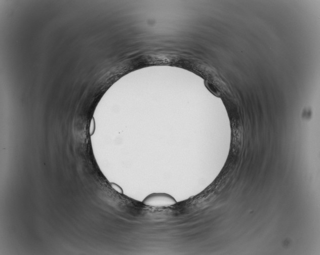 X0000099400331200806051213